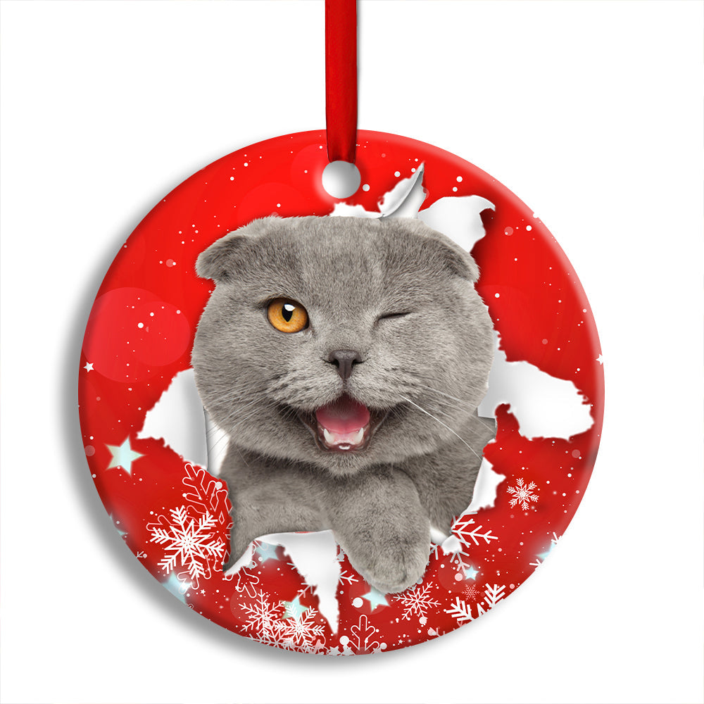 Pack 1 Christmas Cat Funny Kitten Red Background Winter Snowy - Circle Ornament - Owls Matrix LTD