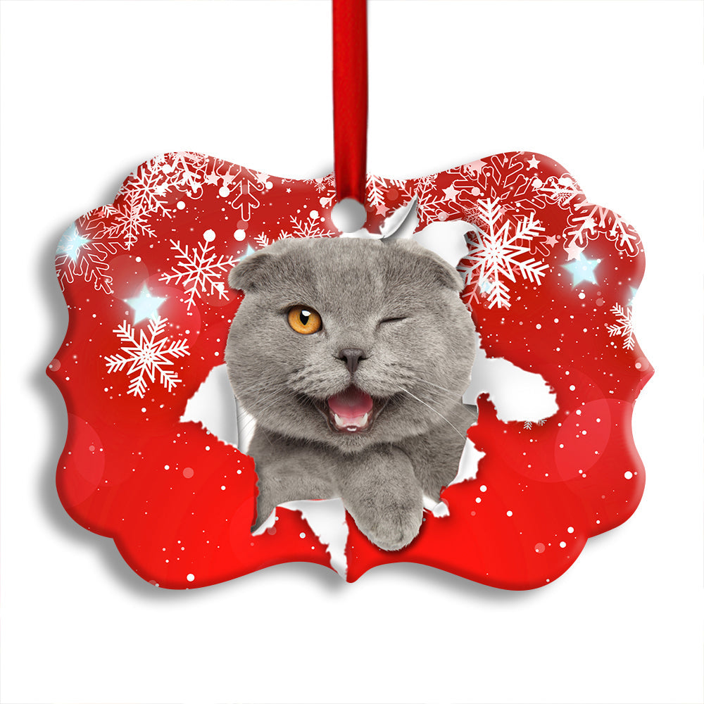 Pack 1 Christmas Cat Funny Kitten Red Background Winter Snowy - Horizontal Ornament - Owls Matrix LTD