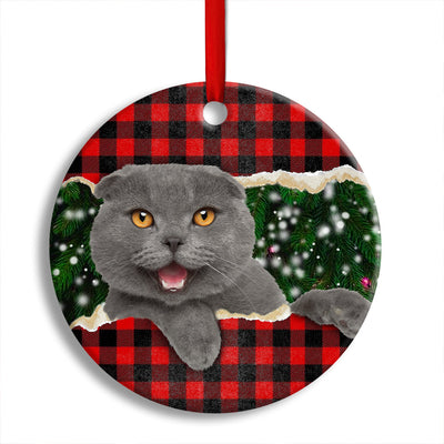 Pack 1 Christmas Cat Happy Meowy Xmas - Circle Ornament - Owls Matrix LTD