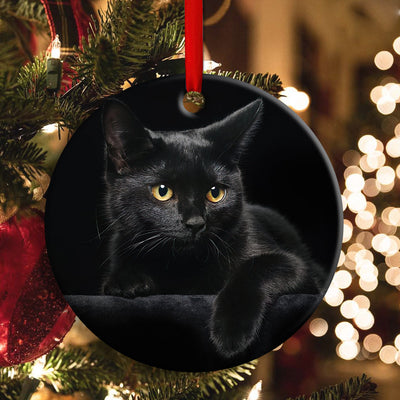 Black Cat Kitty Lover - Circle Ornament - Owls Matrix LTD