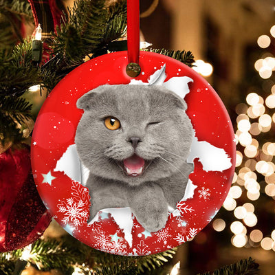 Christmas Cat Funny Kitten Red Background Winter Snowy - Circle Ornament - Owls Matrix LTD