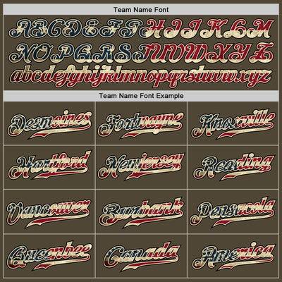 Custom Olive Vintage USA Flag-Black Authentic Two Tone Salute To Service Baseball Jersey - Owls Matrix LTD